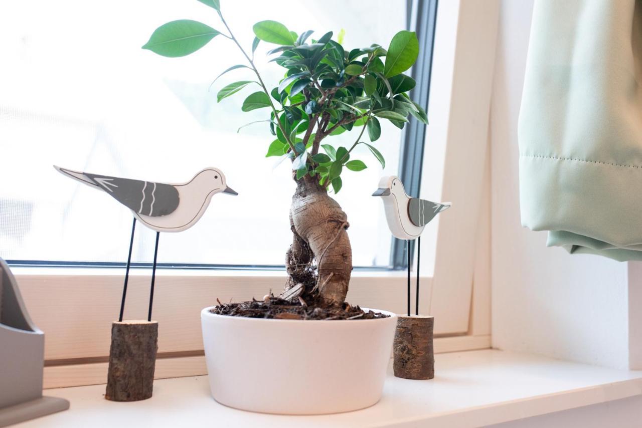Apple Tree Apartment Блед Екстер'єр фото